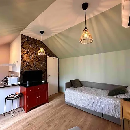 Japan House : En Bois Zen - Wifi - Parking Gratuit Daire *